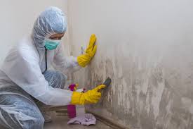 Best Asbestos and Lead Testing During Mold Inspection  in Bishop, TX